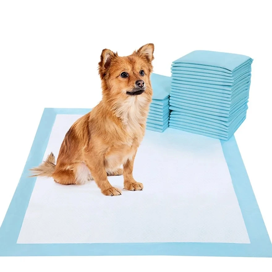 Pee Pad Train A Puppy Pee Pad Train A Puppy